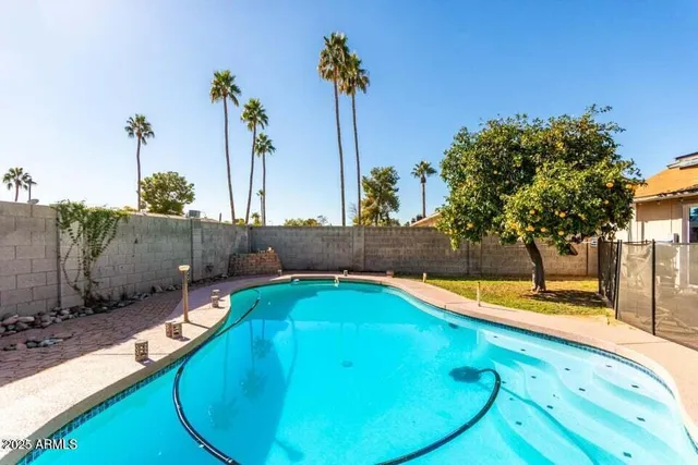 a view of a swimming pool with a lounge chairs
