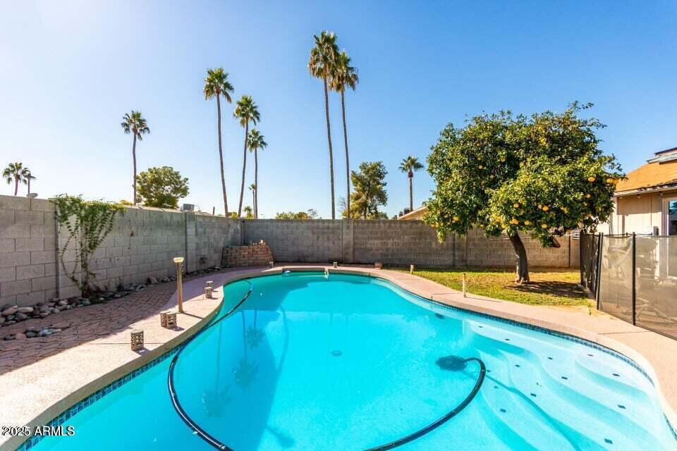 1807 West Mission Drive Chandler, AZ 85224 - Photo 3 of 3 a view of a swimming pool with a lounge chairs