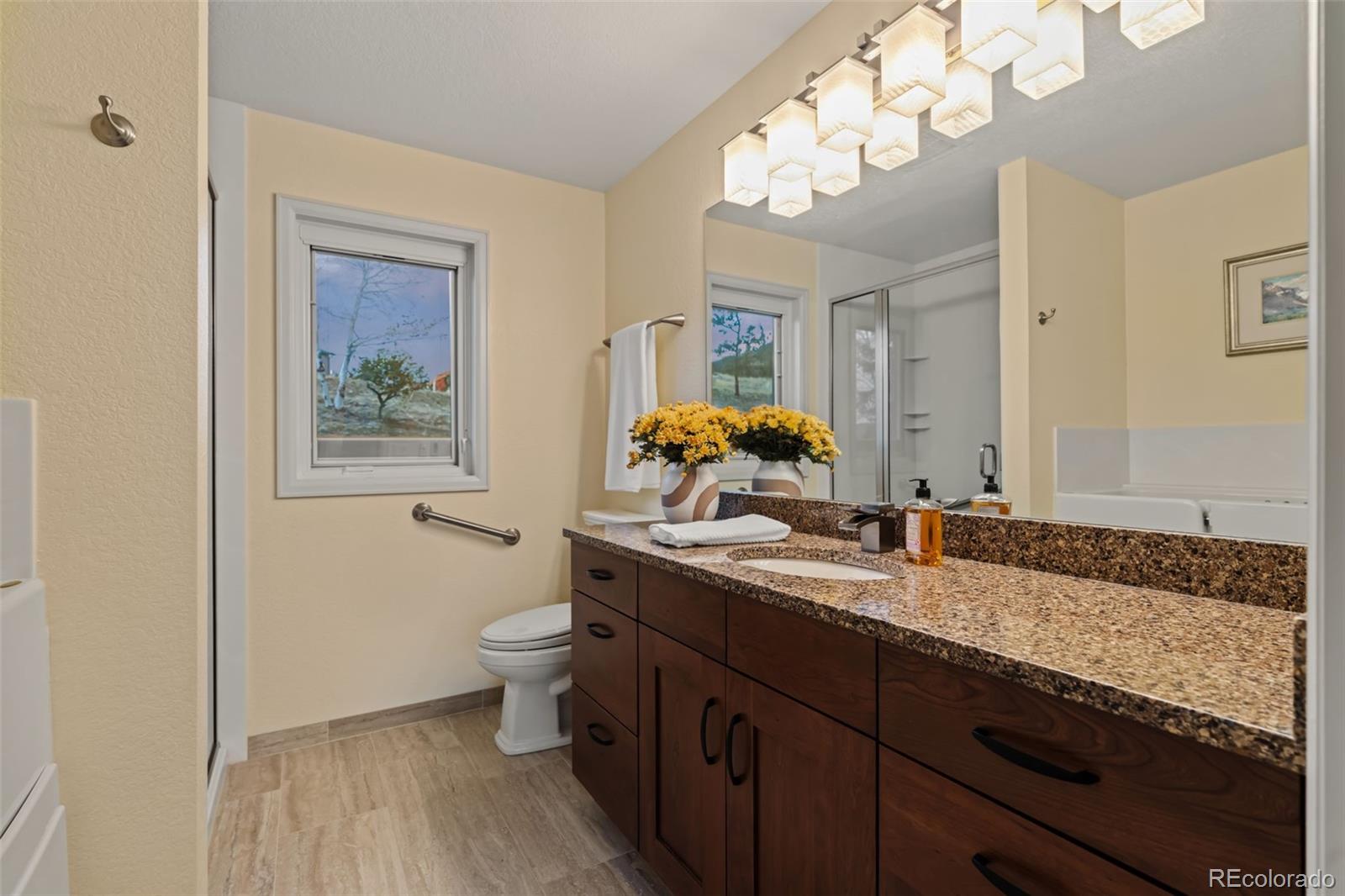 830 Jesse Lane Bailey, CO 80421 - Photo 23 of 45 a bathroom with a granite countertop sink a large mirror and a toilet