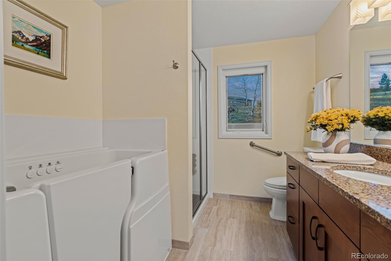 830 Jesse Lane Bailey, CO 80421 - Photo 24 of 45 a bathroom with a granite countertop sink a toilet and with a vanity