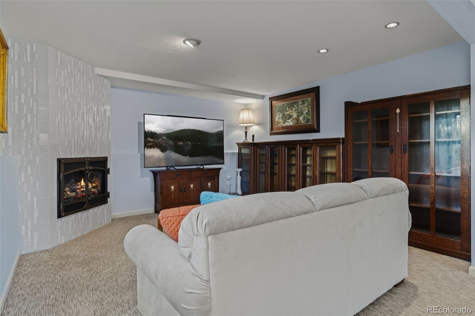 830 Jesse Lane Bailey, CO 80421 - Photo 36 of 45 a living room with furniture and a flat screen tv