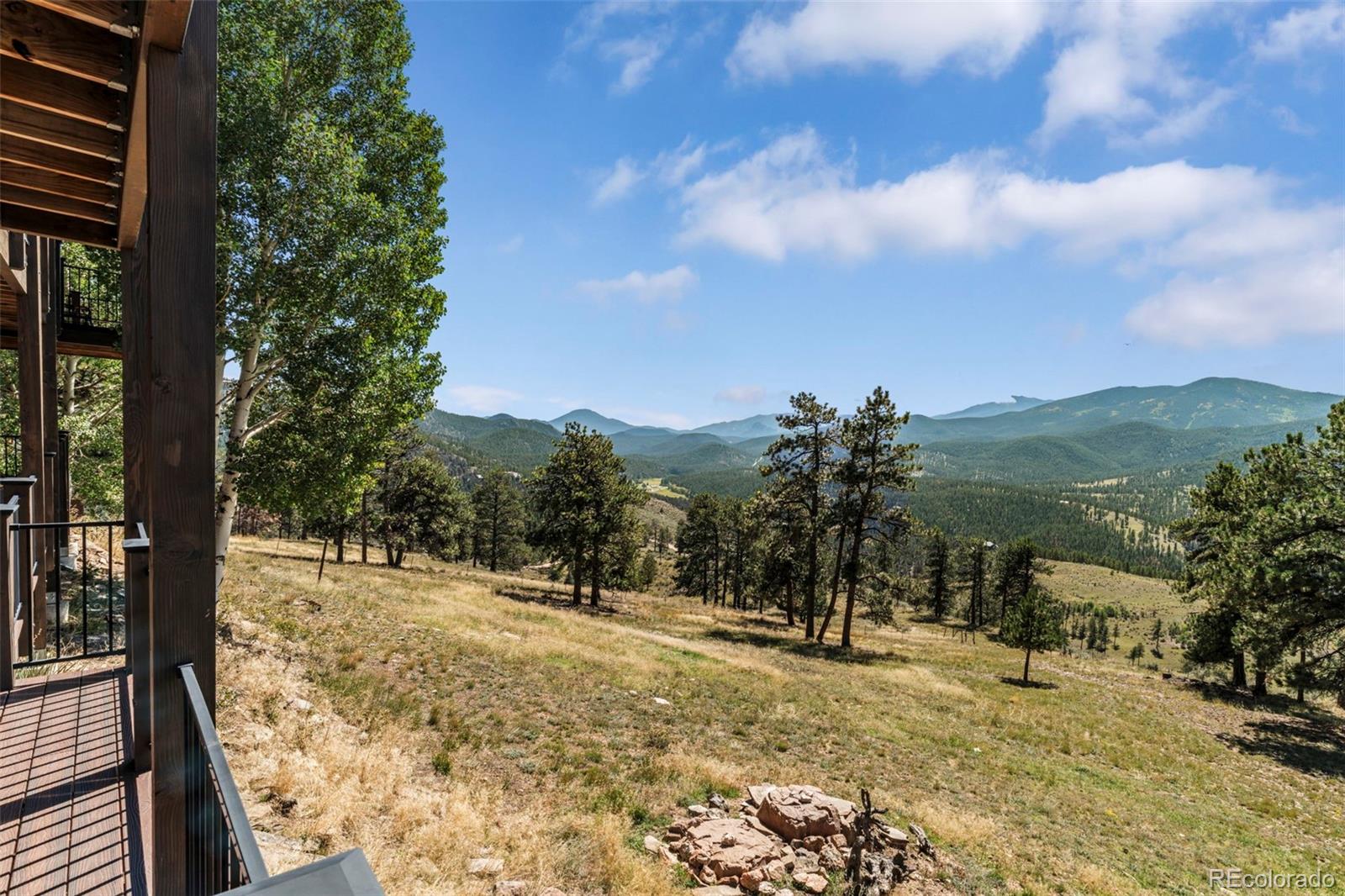 830 Jesse Lane Bailey, CO 80421 - Photo 43 of 45 a view of a yard with a tree