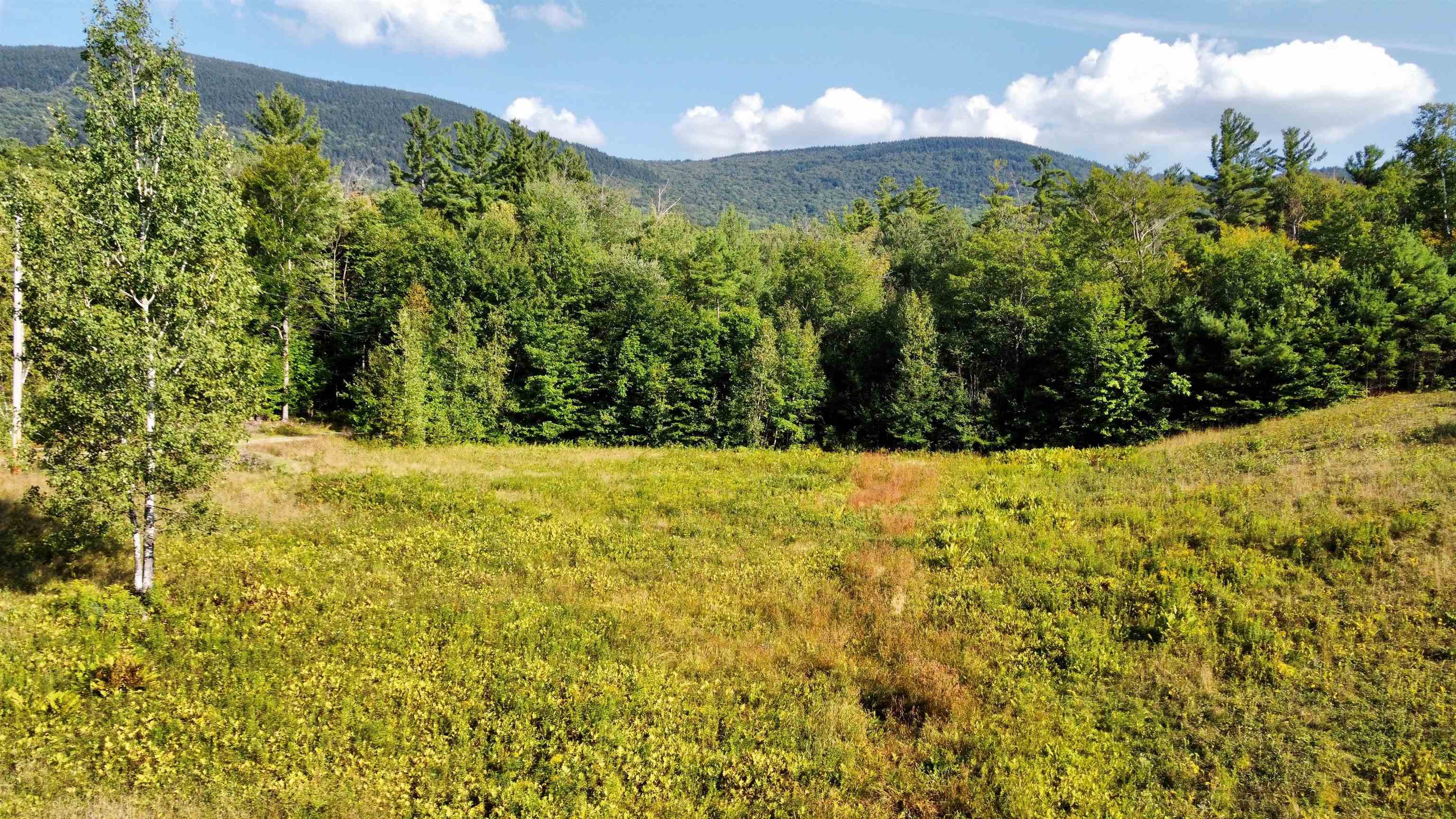 0 Howe Road Wilmot, NH 03287 - Photo 13 of 14