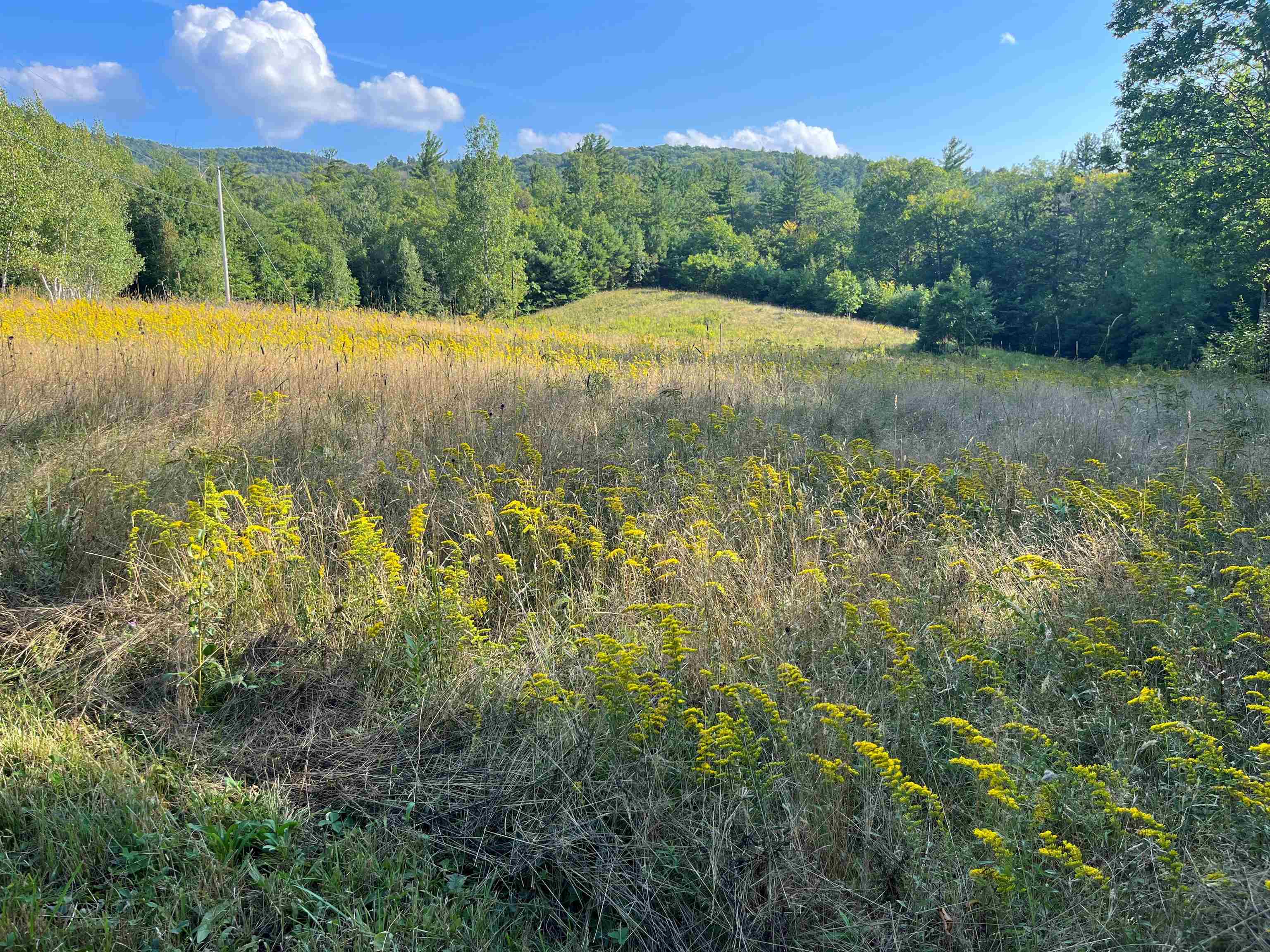 0 Howe Road Wilmot, NH 03287 - Photo 6 of 14