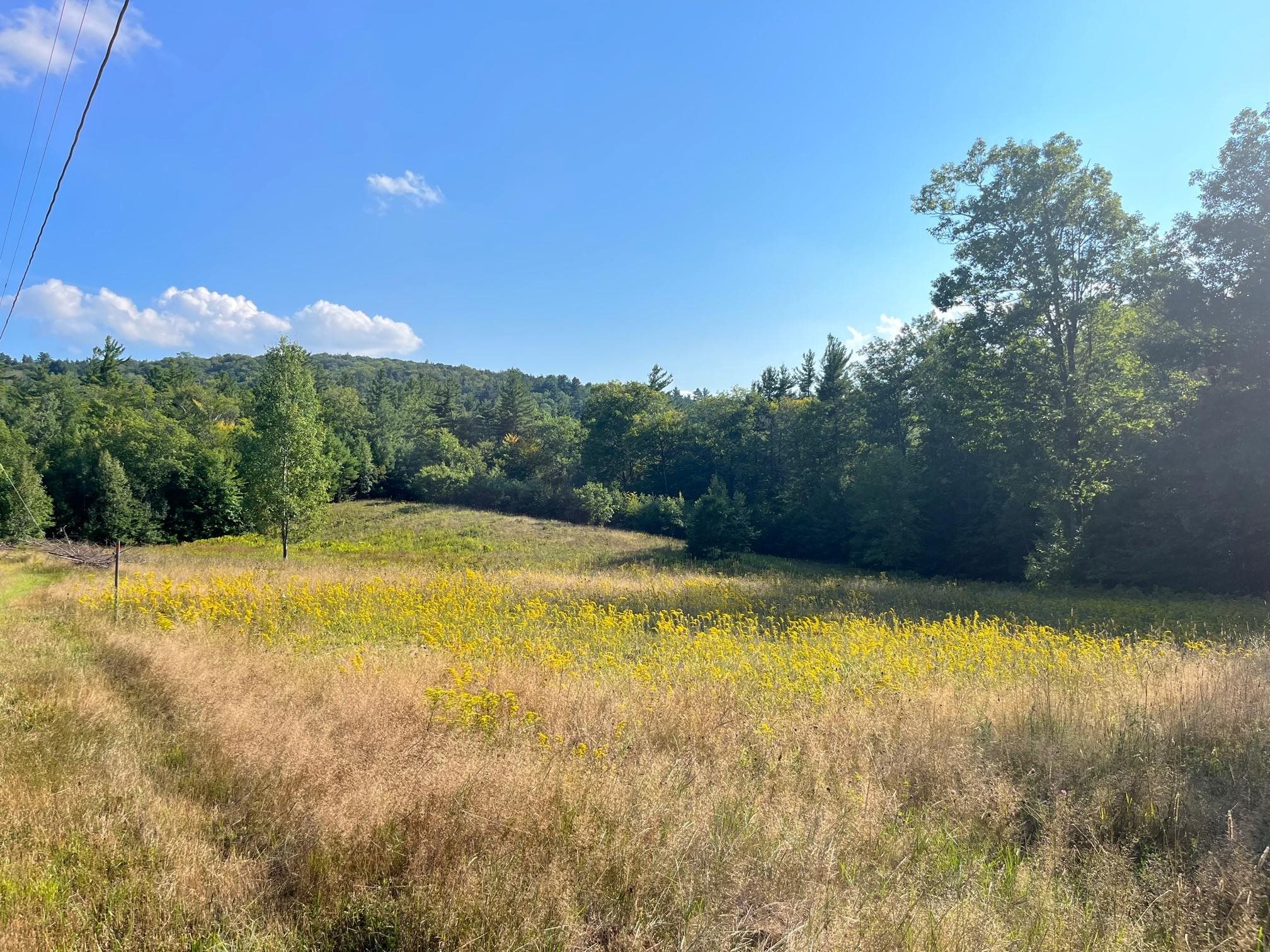 0 Howe Road Wilmot, NH 03287 - Photo 9 of 14