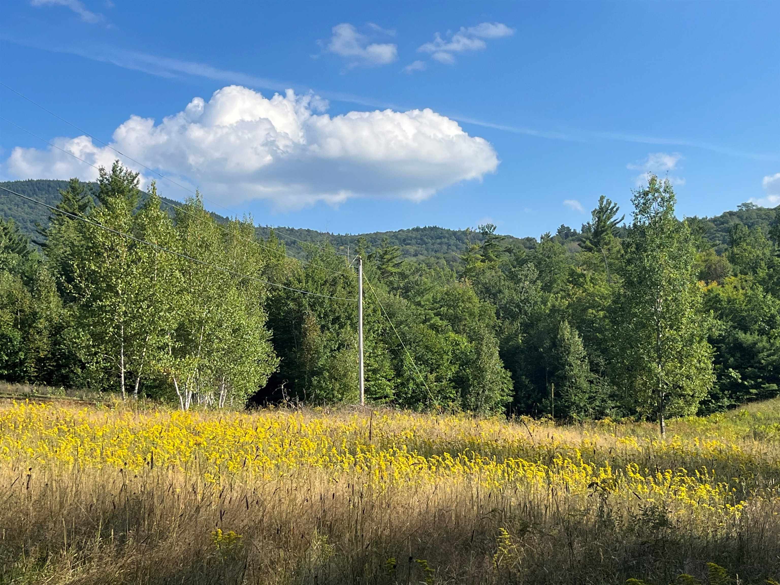 0 Howe Road Wilmot, NH 03287 - Photo 10 of 14