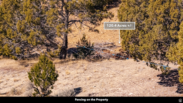 0 County Road 28 Levan, UT 84639 - Photo 40 of 207