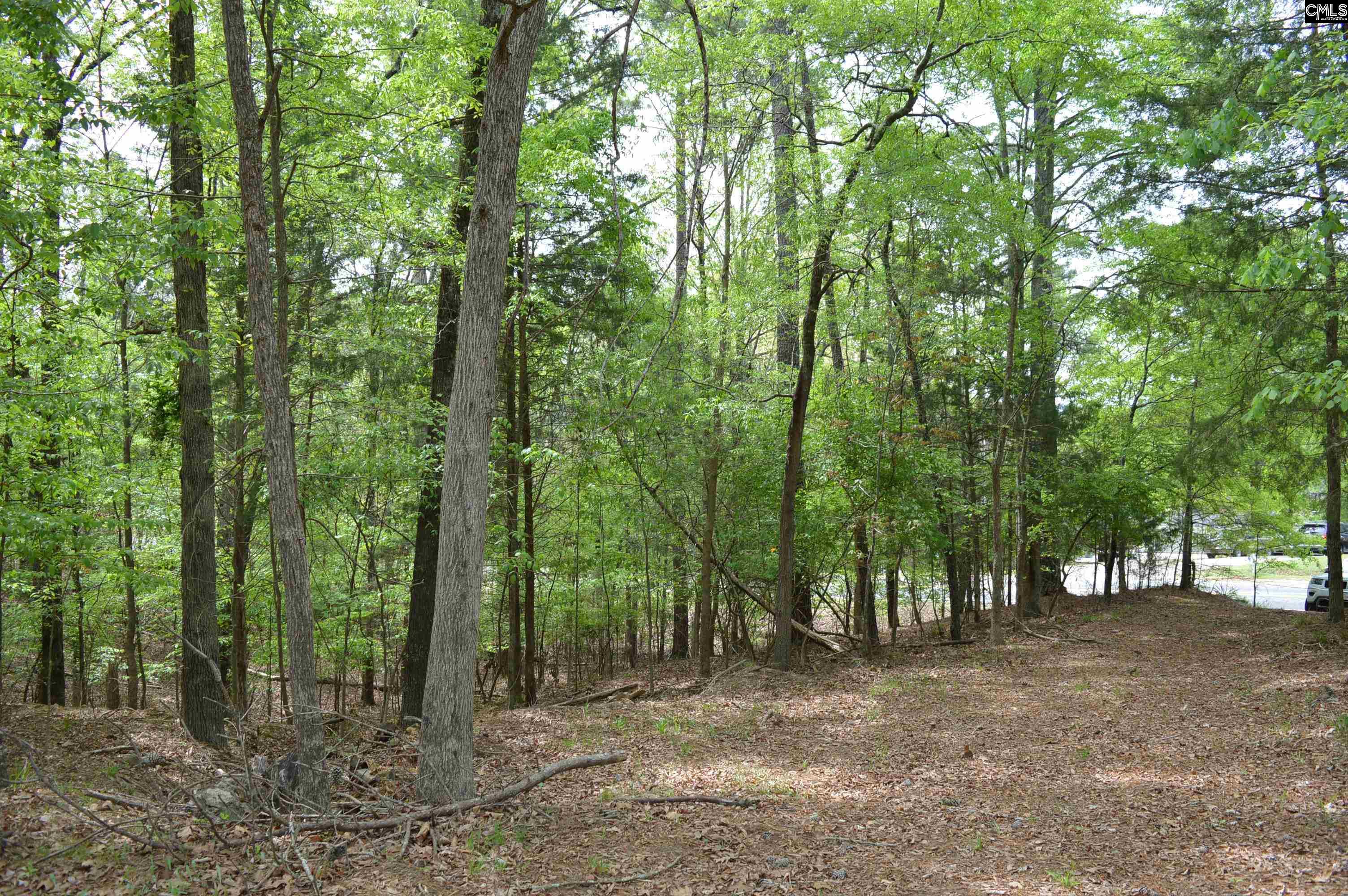 978 Rolling Hills Road Ridgeway, SC 29130 - Photo 2 of 9