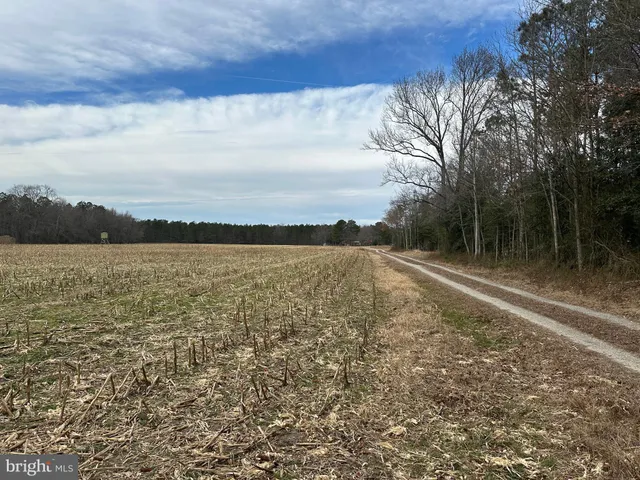 $725,000 | 0 Whitesburg Road, Snow Hill, MD 21863