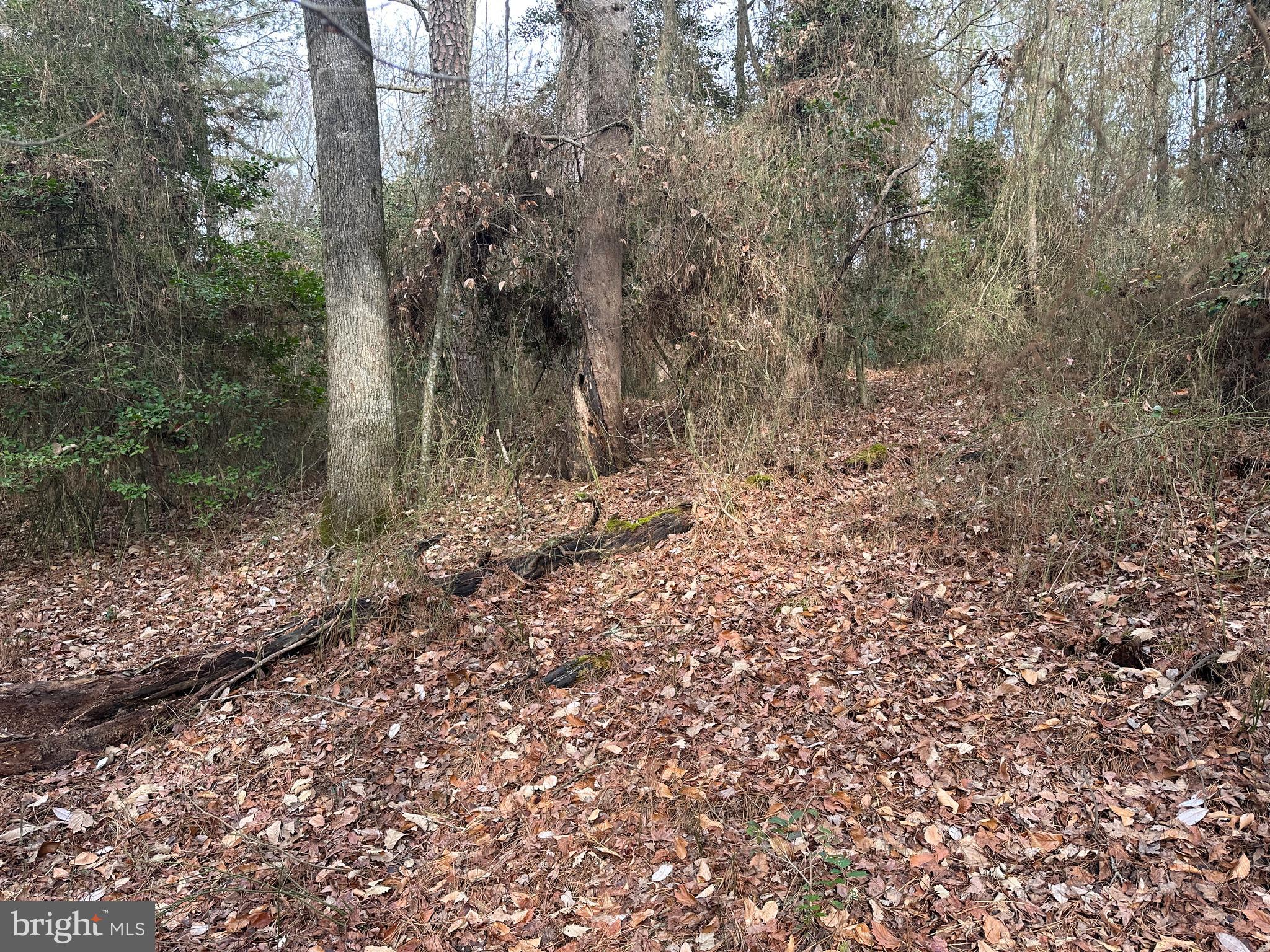 0 Whitesburg Road Snow Hill, MD 21863 - Photo 11 of 69