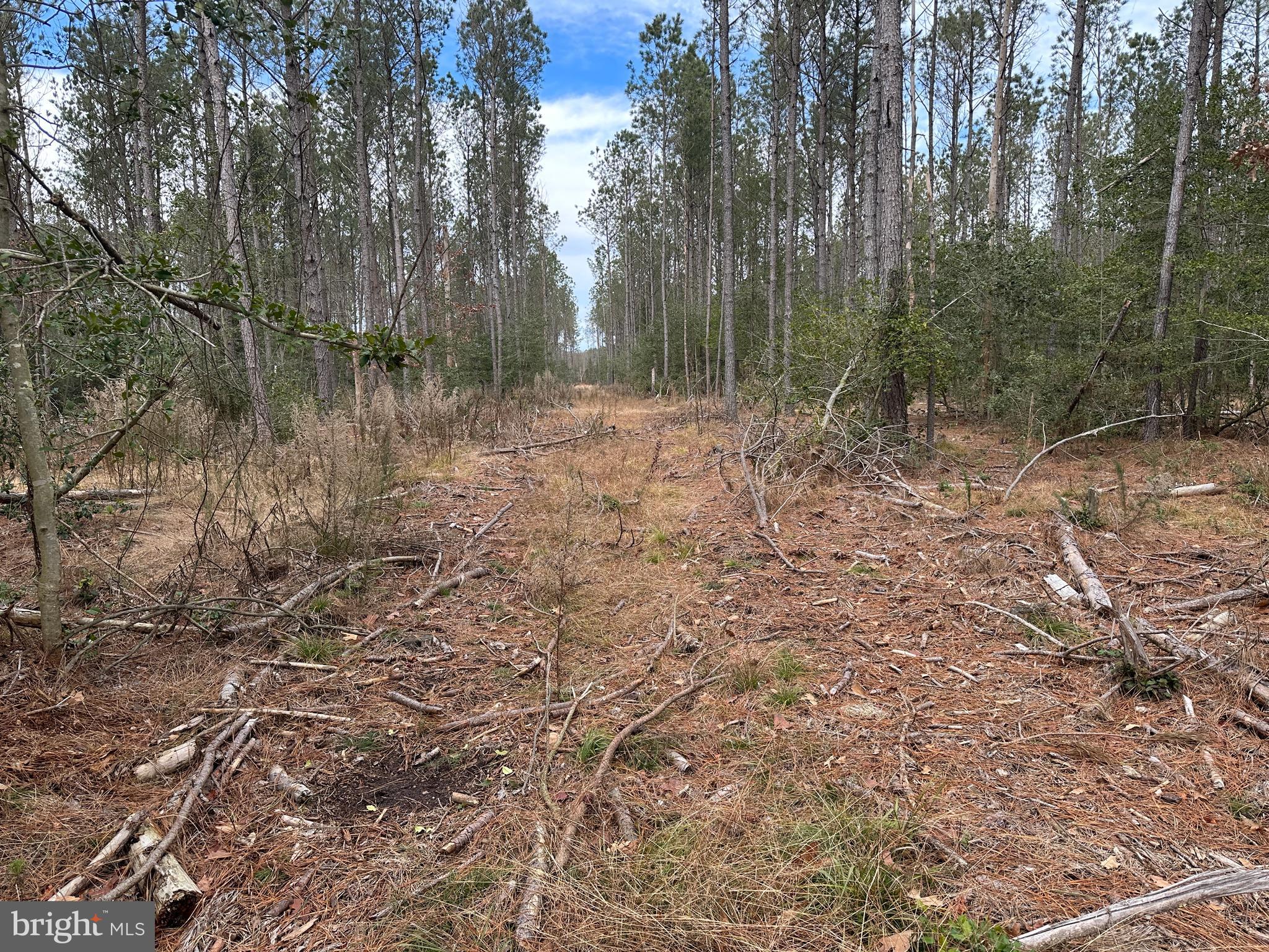 0 Whitesburg Road Snow Hill, MD 21863 - Photo 12 of 69