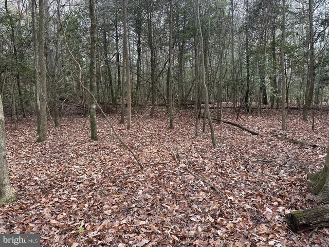 a view of a lake view
