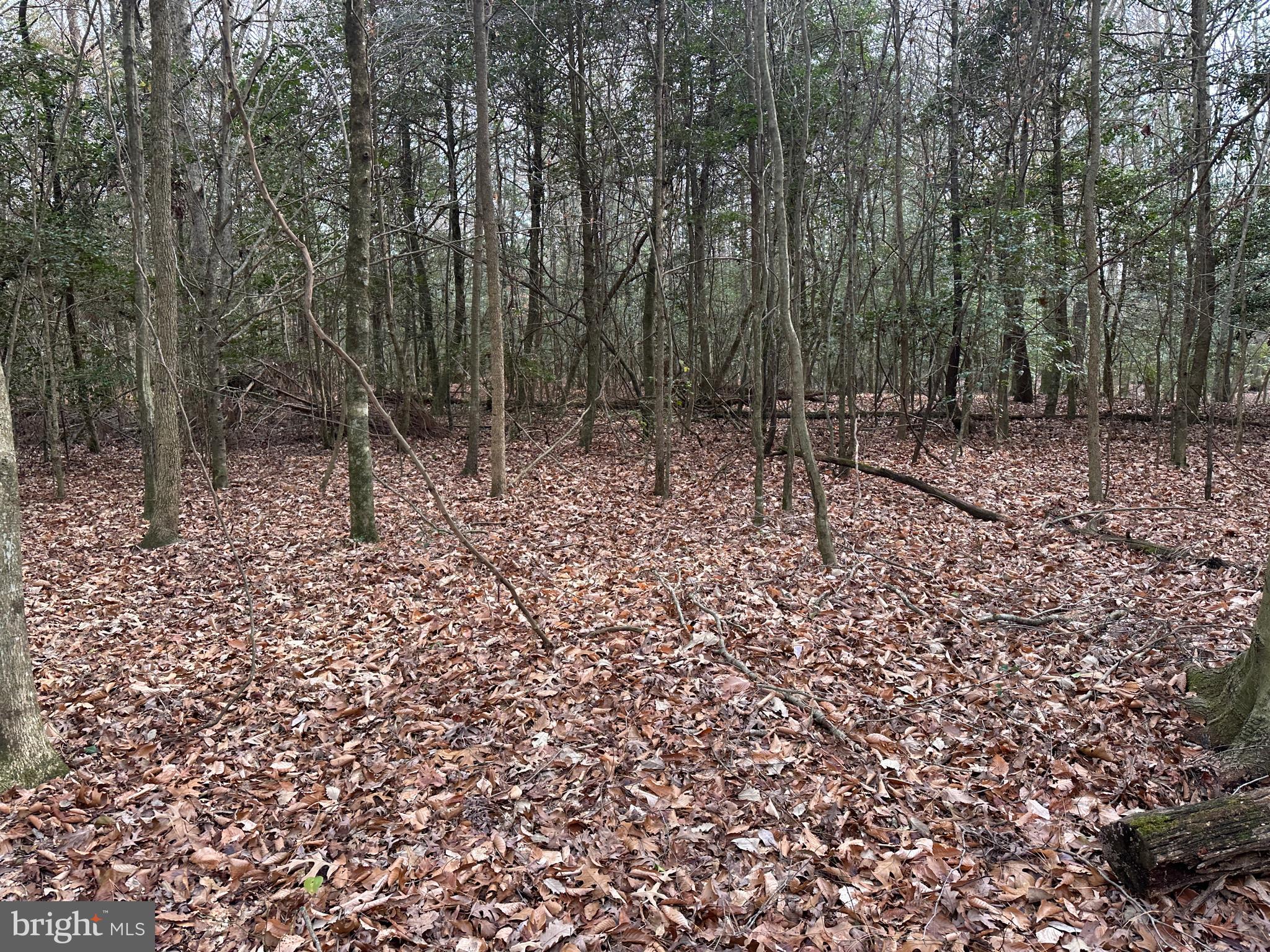 0 Whitesburg Road Snow Hill, MD 21863 - Photo 13 of 69