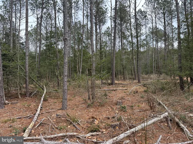 a view of wooden fence