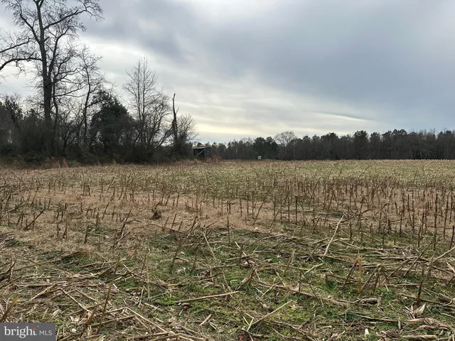 $725,000 | 0 Whitesburg Road, Snow Hill, MD 21863