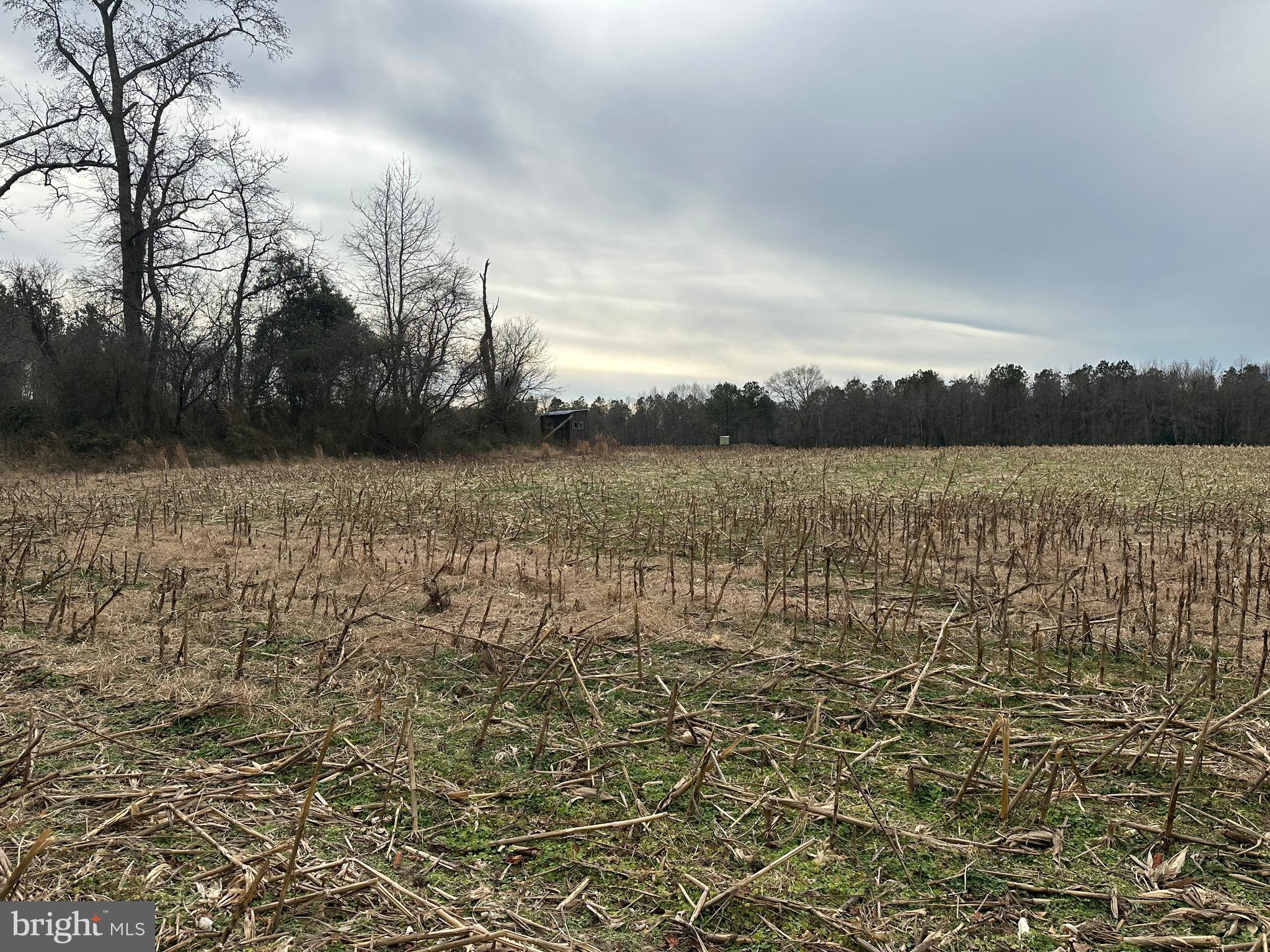 0 Whitesburg Road Snow Hill, MD 21863 - Photo 15 of 69