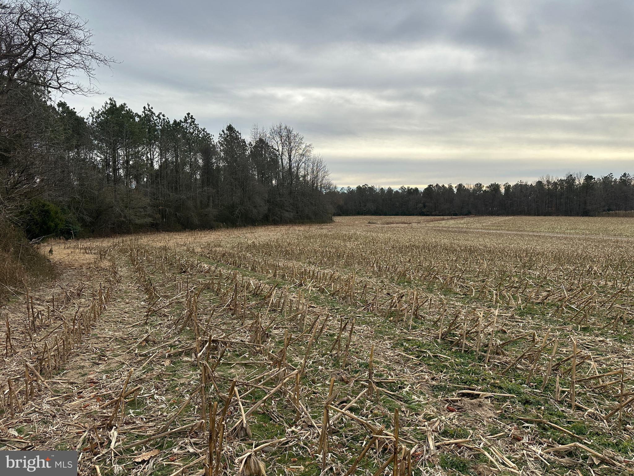 0 Whitesburg Road Snow Hill, MD 21863 - Photo 17 of 69