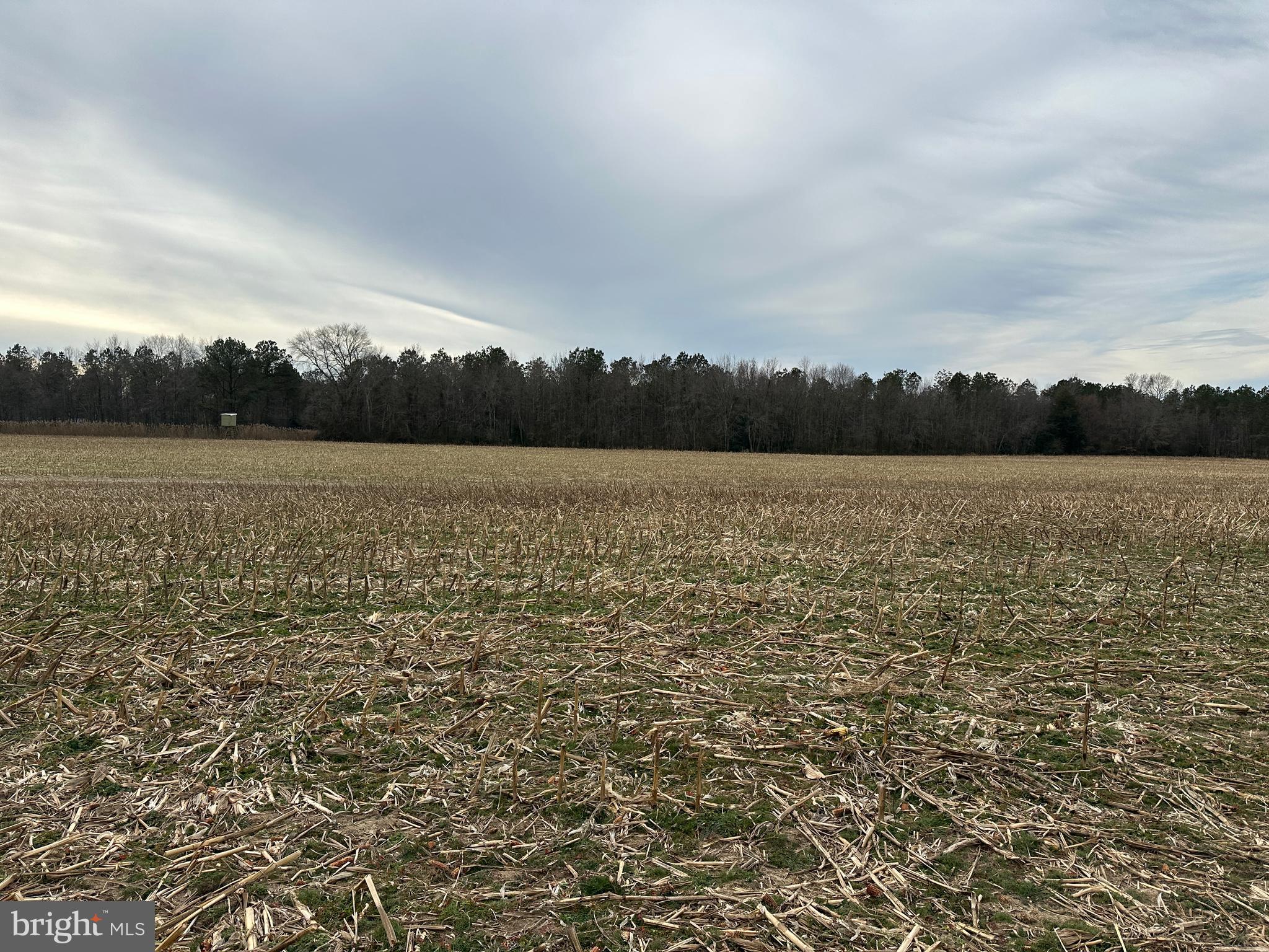 0 Whitesburg Road Snow Hill, MD 21863 - Photo 18 of 69