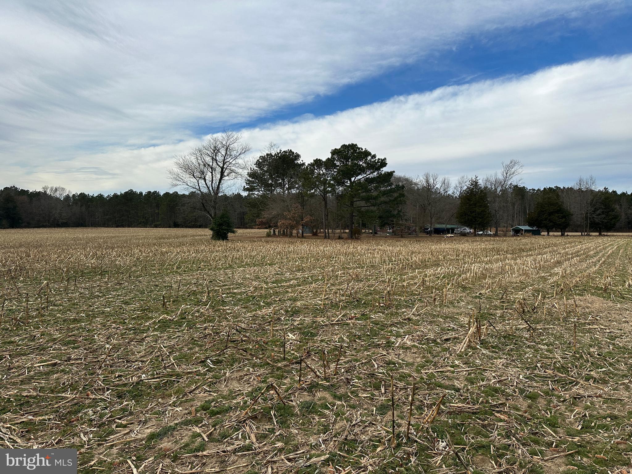 0 Whitesburg Road Snow Hill, MD 21863 - Photo 19 of 69