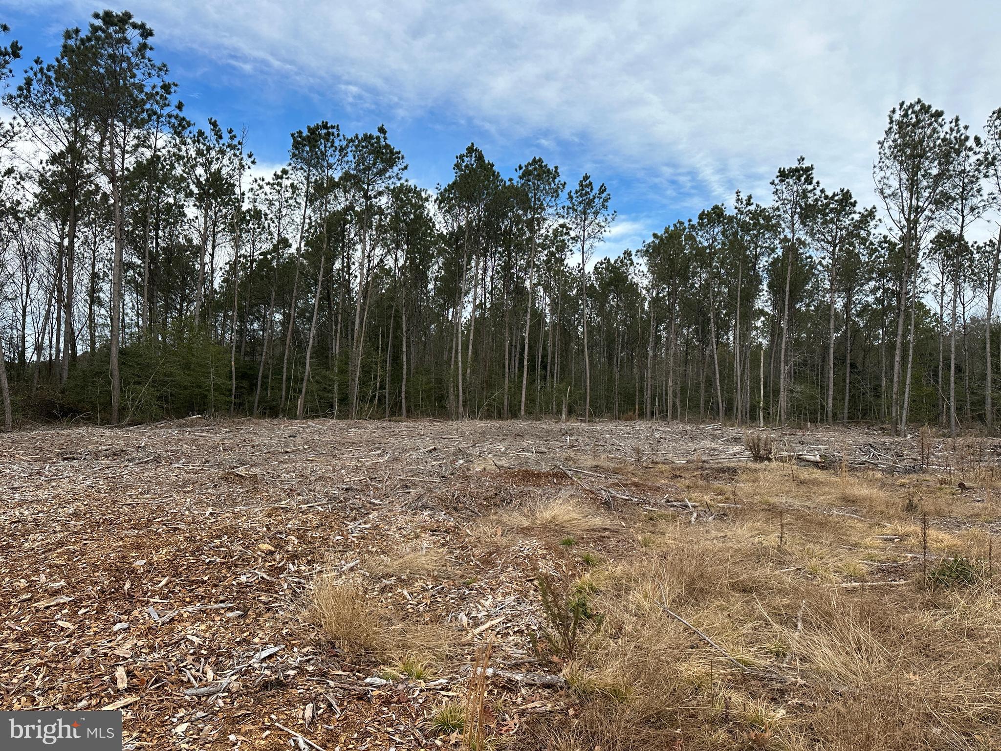 0 Whitesburg Road Snow Hill, MD 21863 - Photo 20 of 69