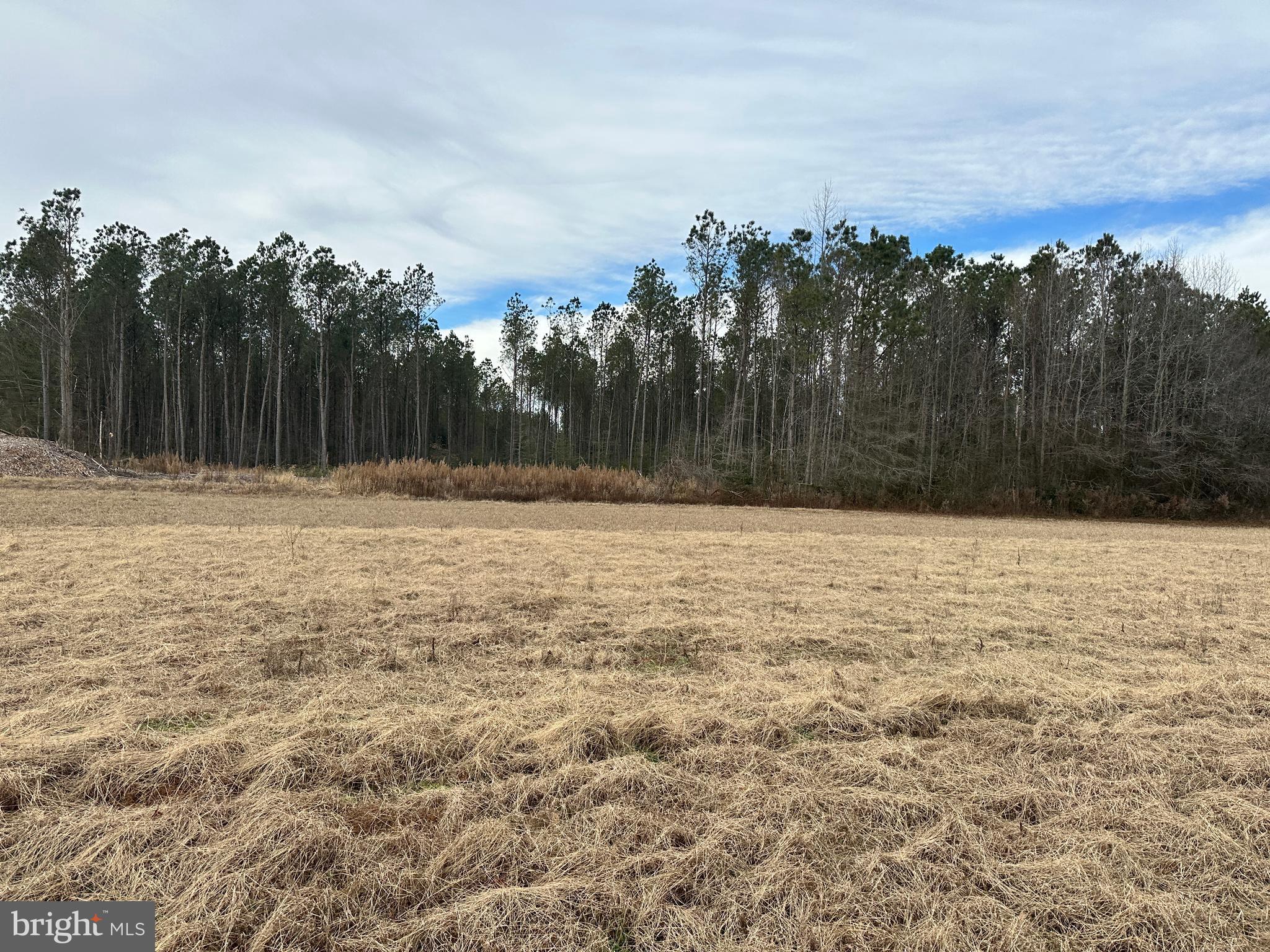 0 Whitesburg Road Snow Hill, MD 21863 - Photo 2 of 69