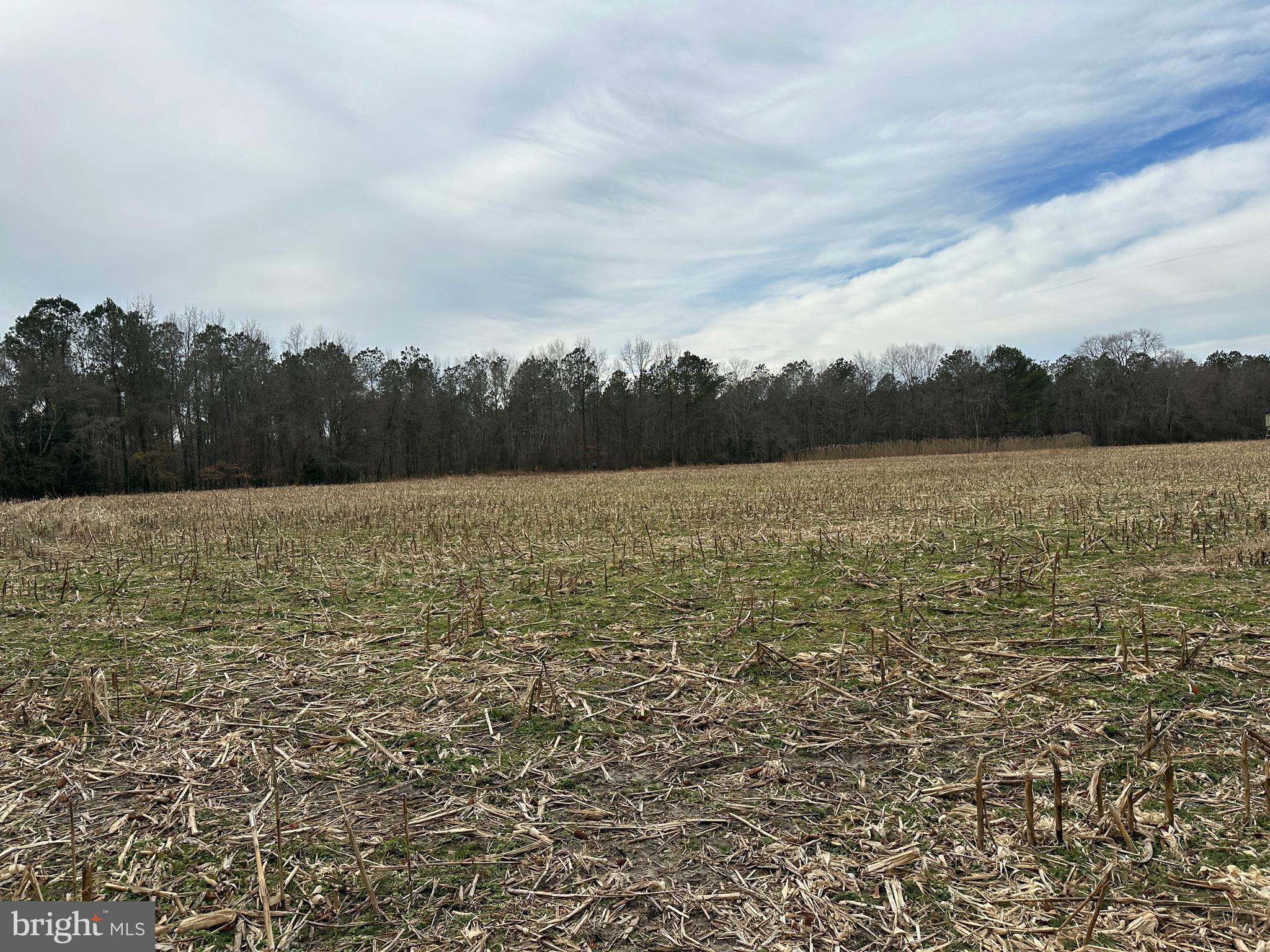 0 Whitesburg Road Snow Hill, MD 21863 - Photo 21 of 69