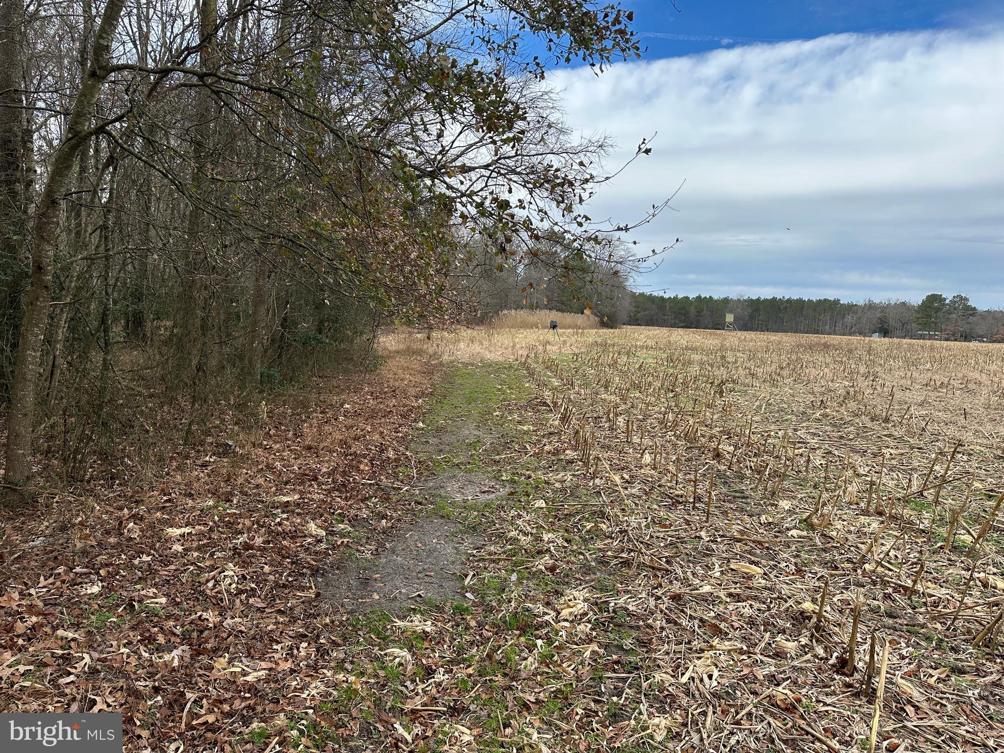 0 Whitesburg Road Snow Hill, MD 21863 - Photo 22 of 69