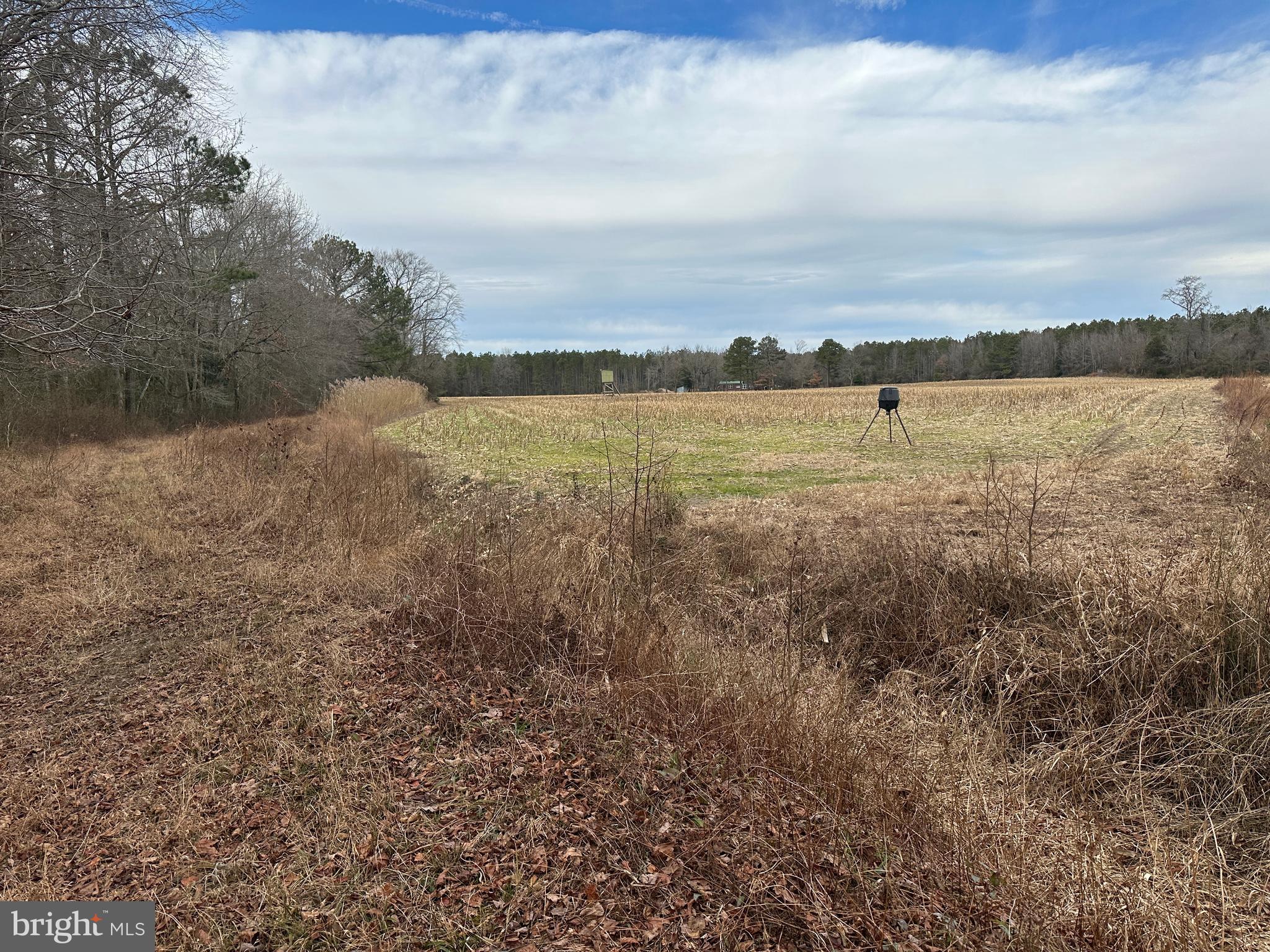 0 Whitesburg Road Snow Hill, MD 21863 - Photo 23 of 69