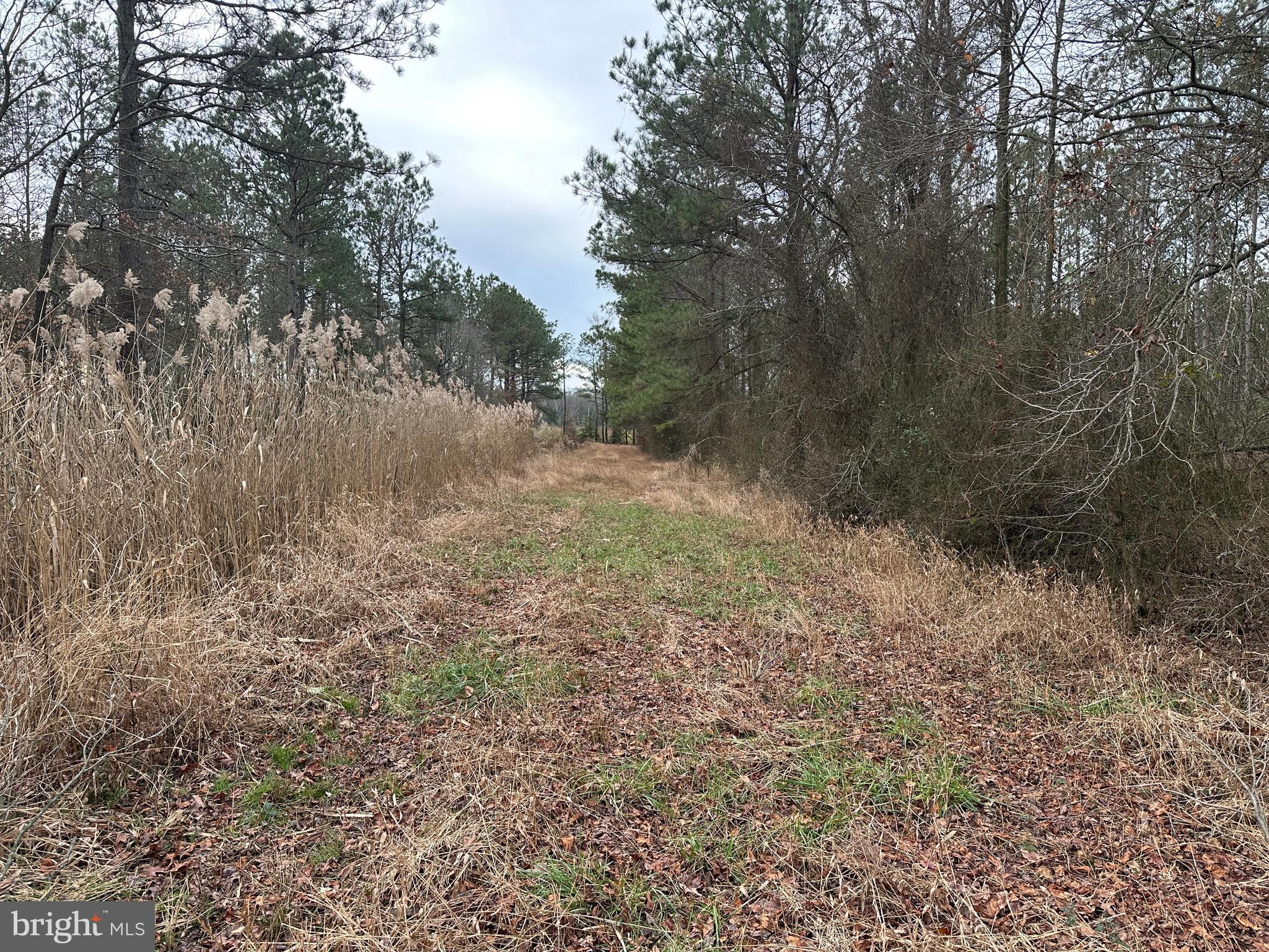 0 Whitesburg Road Snow Hill, MD 21863 - Photo 24 of 69