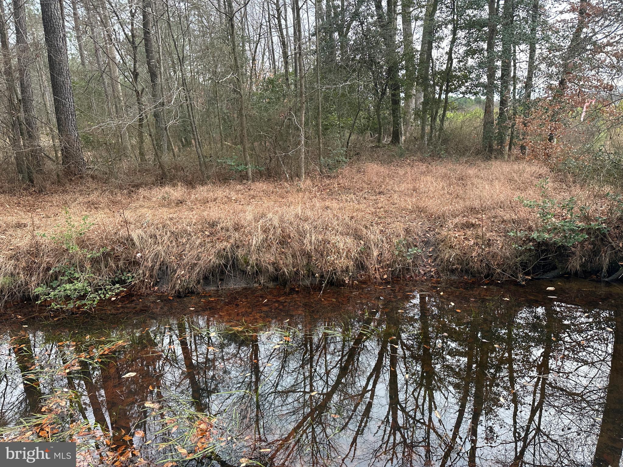 0 Whitesburg Road Snow Hill, MD 21863 - Photo 26 of 69