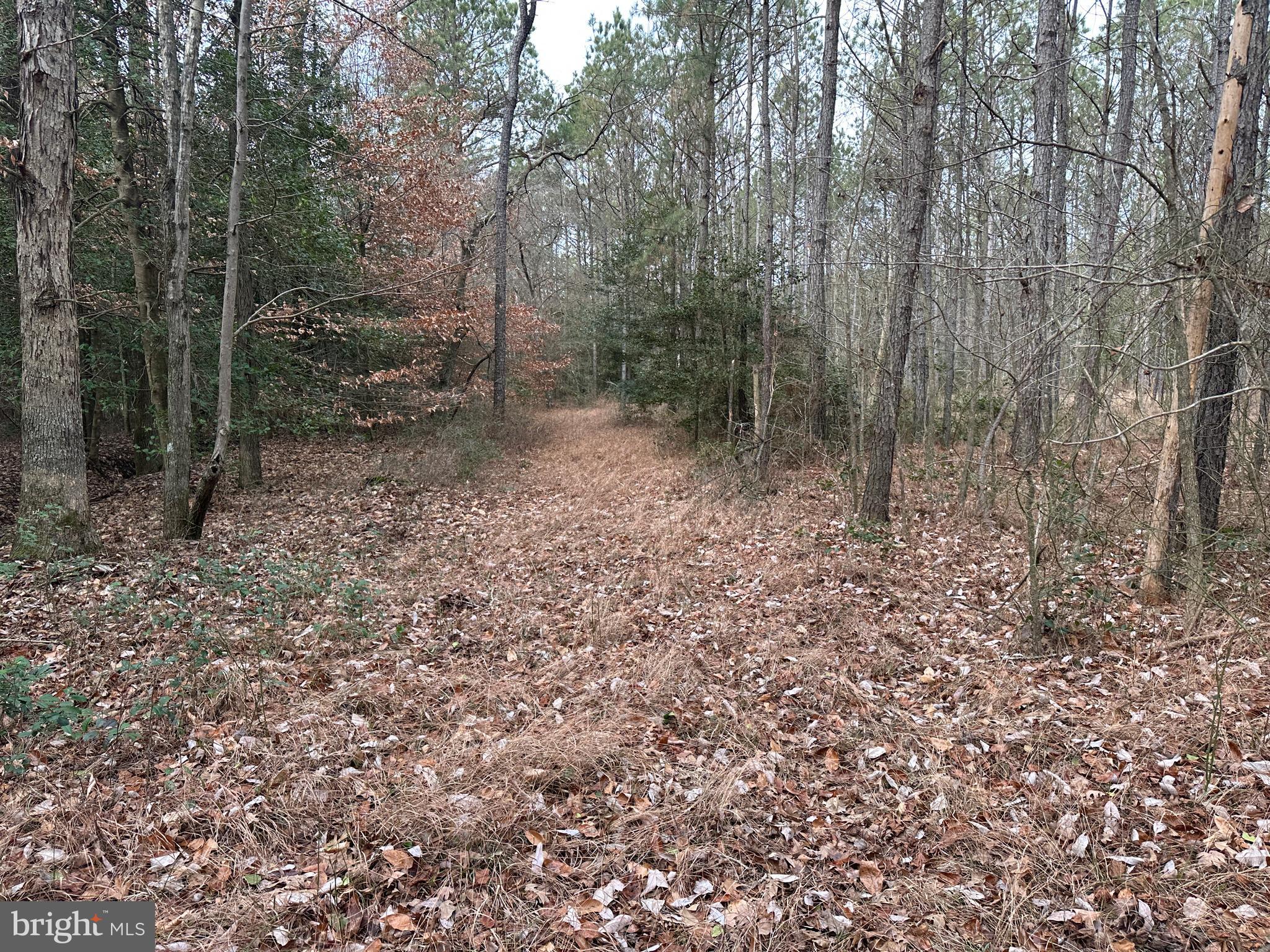 0 Whitesburg Road Snow Hill, MD 21863 - Photo 27 of 69