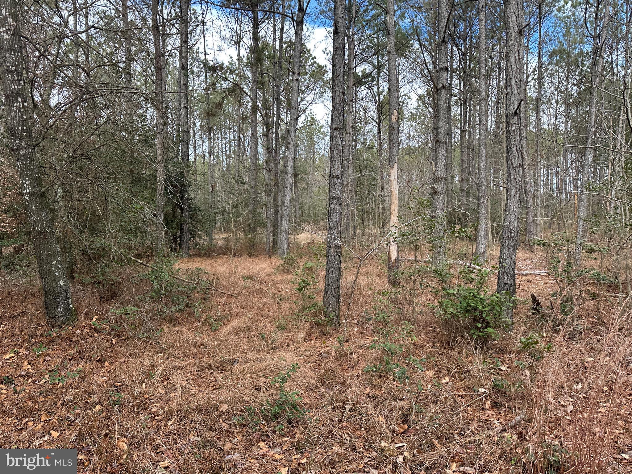 0 Whitesburg Road Snow Hill, MD 21863 - Photo 28 of 69