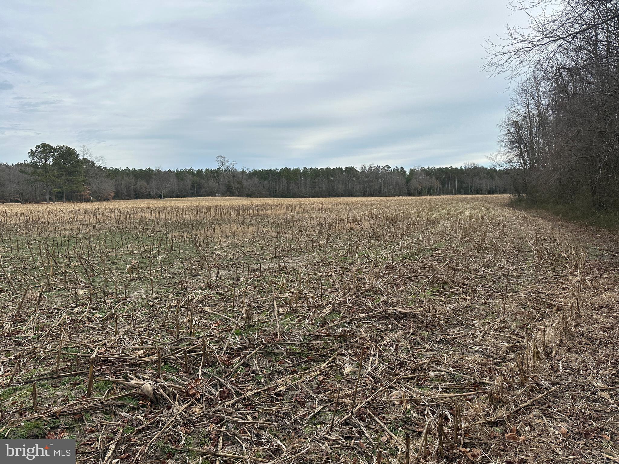 0 Whitesburg Road Snow Hill, MD 21863 - Photo 30 of 69