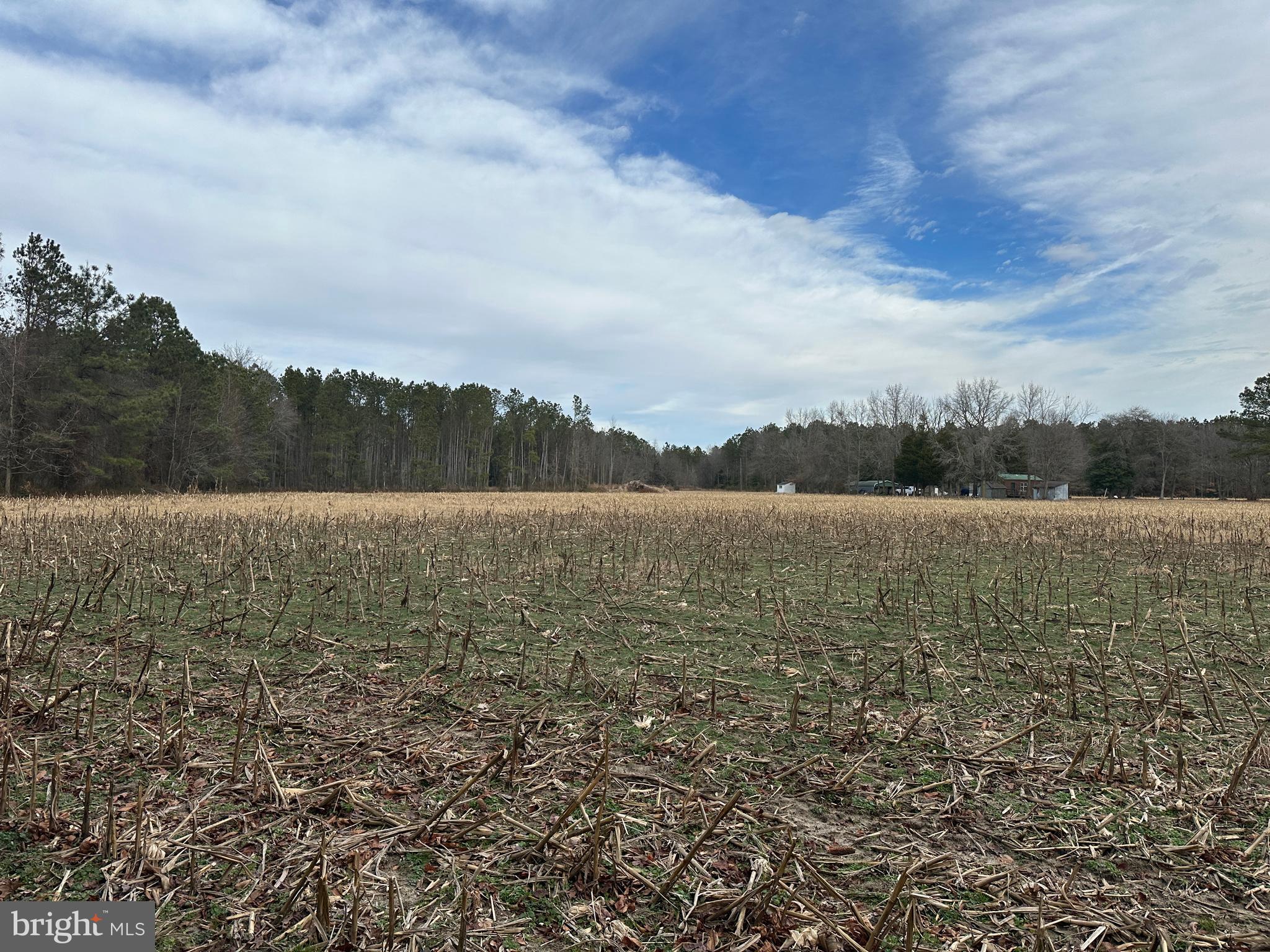 0 Whitesburg Road Snow Hill, MD 21863 - Photo 31 of 69