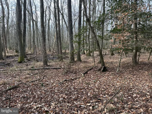 a view of outdoor space with trees