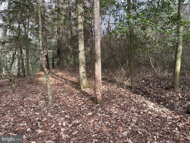 a view of a yard with wooden fence