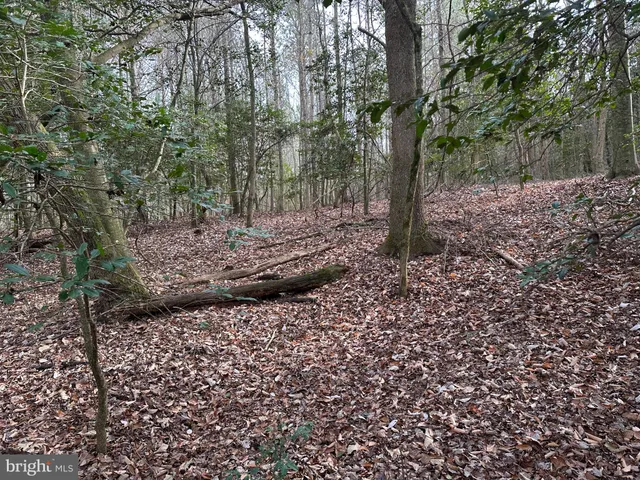 a view of outdoor space with trees