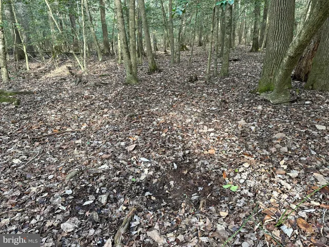 $725,000 | 0 Whitesburg Road, Snow Hill, MD 21863