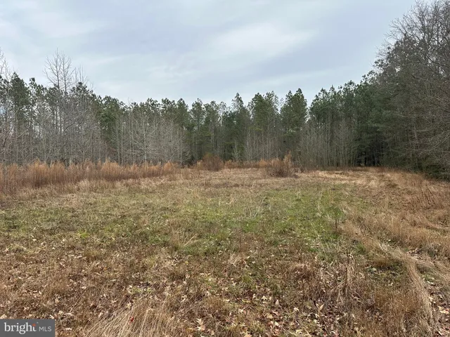 a view of outdoor space with green field and trees all around