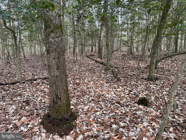 a view of outdoor space with city view