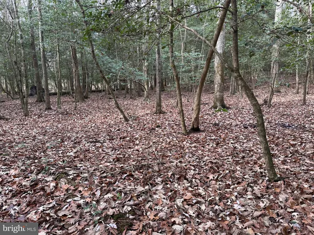 a view of a field with trees in the background