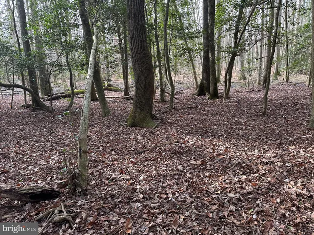 $725,000 | 0 Whitesburg Road, Snow Hill, MD 21863