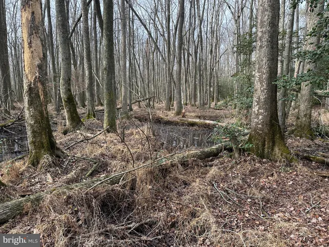 $725,000 | 0 Whitesburg Road, Snow Hill, MD 21863