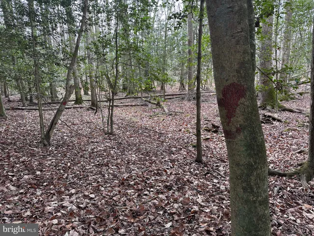 a view of walk in closet