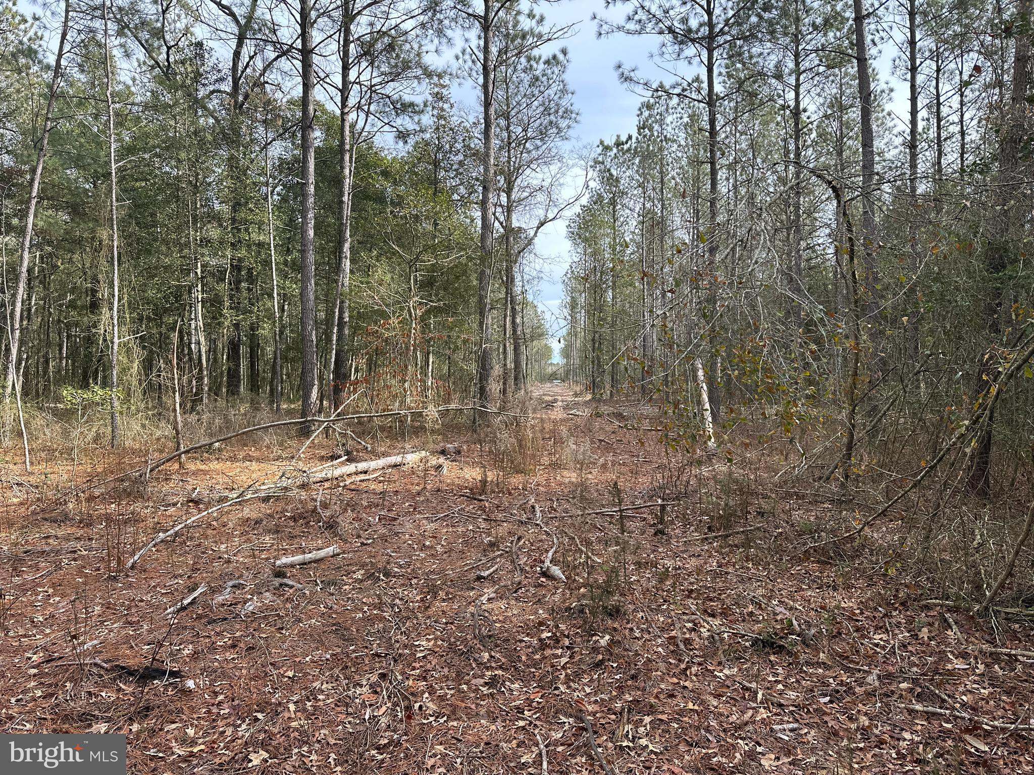 0 Whitesburg Road Snow Hill, MD 21863 - Photo 49 of 69