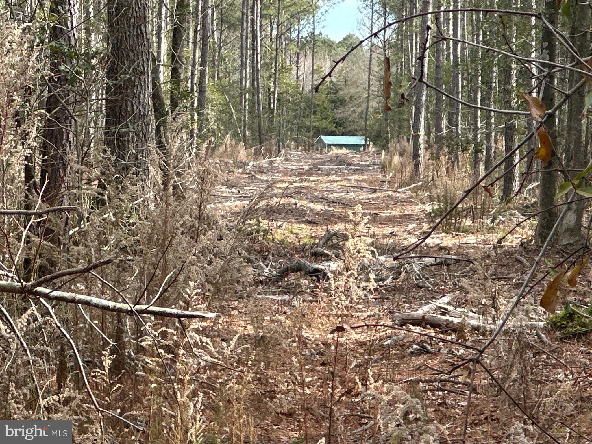 0 Whitesburg Road Snow Hill, MD 21863 - Photo 50 of 69