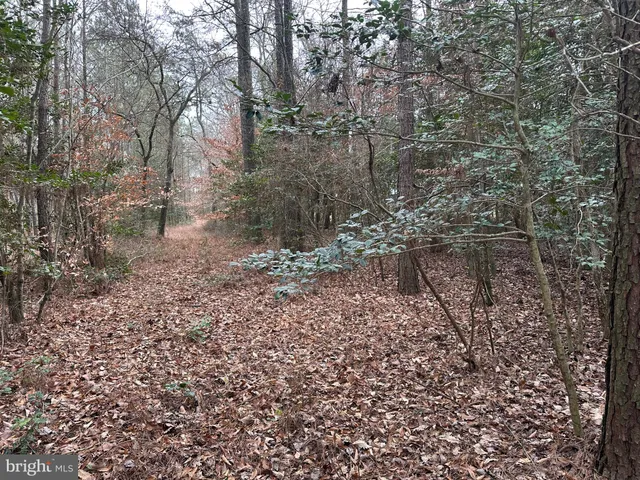 $725,000 | 0 Whitesburg Road, Snow Hill, MD 21863