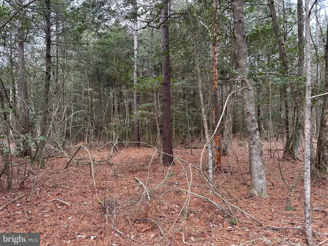 $725,000 | 0 Whitesburg Road, Snow Hill, MD 21863