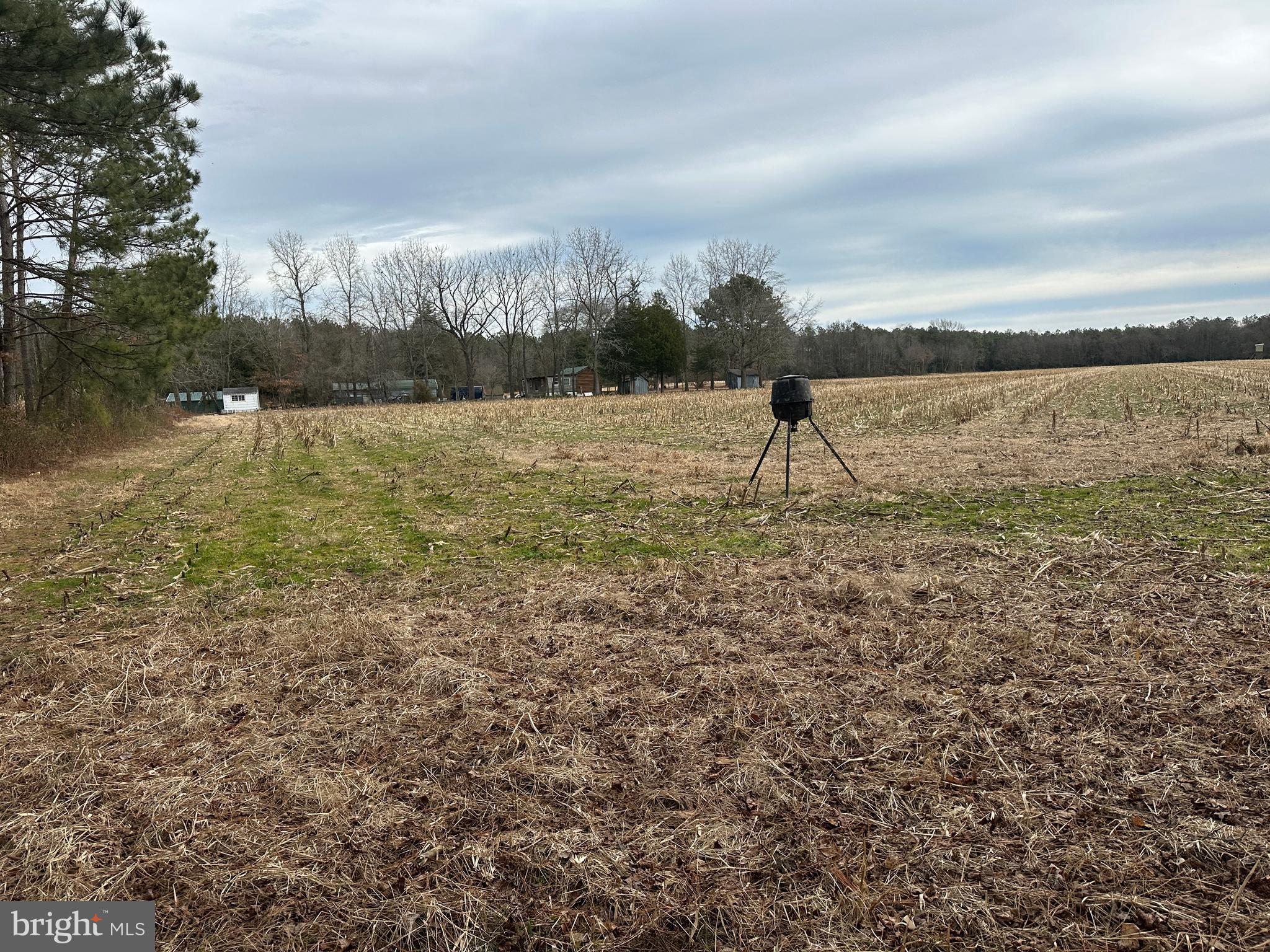 0 Whitesburg Road Snow Hill, MD 21863 - Photo 52 of 69