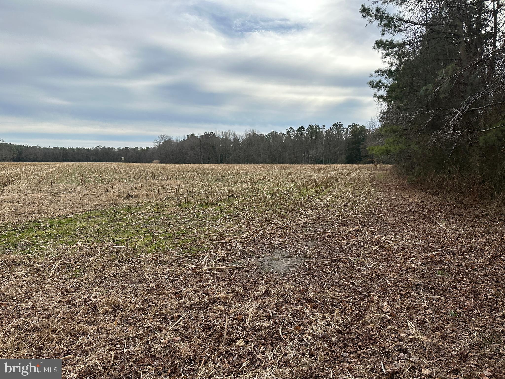 0 Whitesburg Road Snow Hill, MD 21863 - Photo 53 of 69